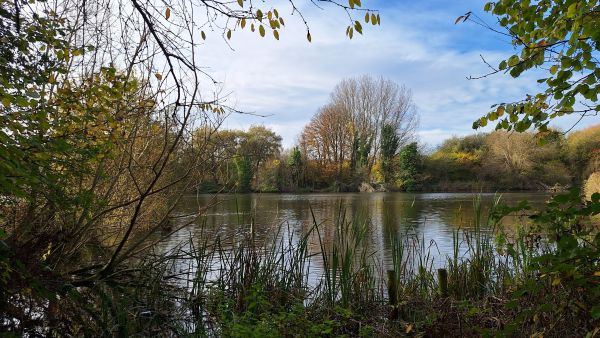 Lake in Autumn